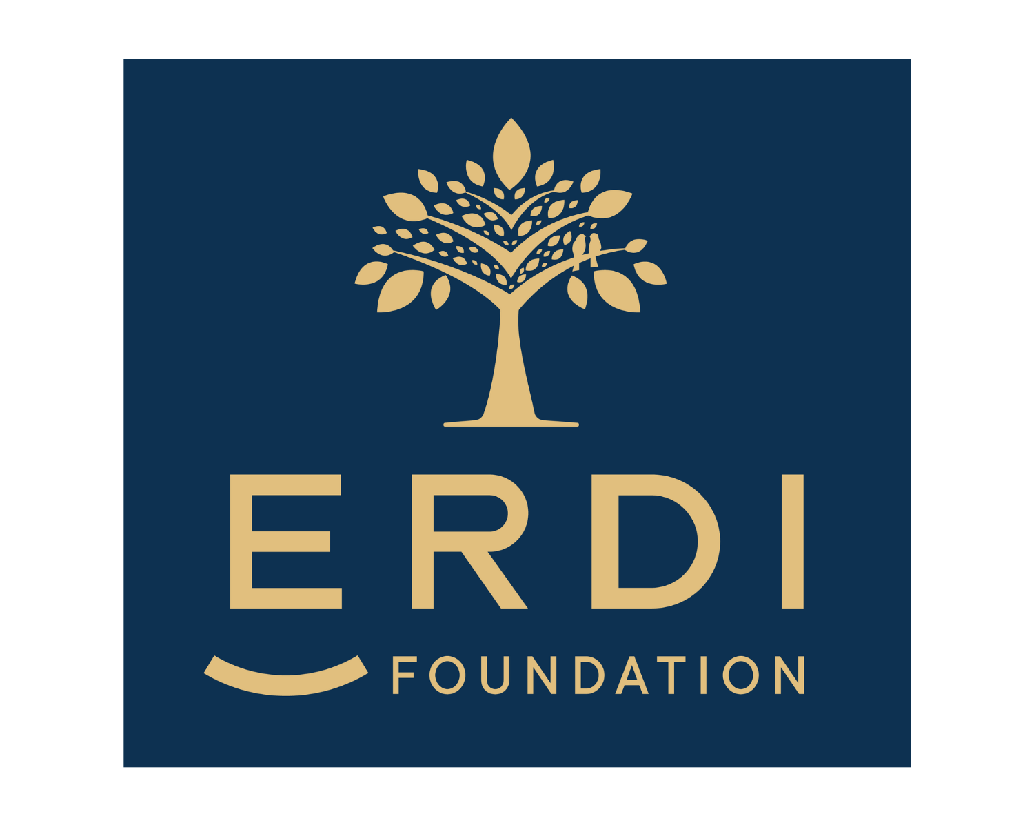 Erdi Foundation logo