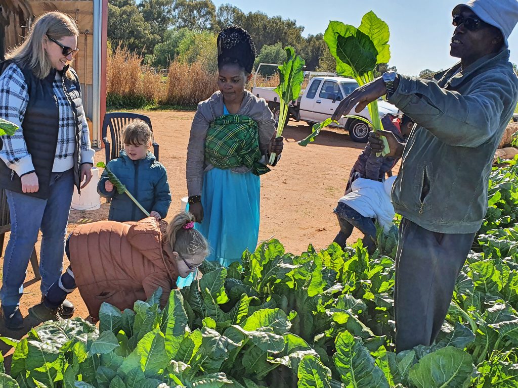 People standing and talking together in a vegetable patch.