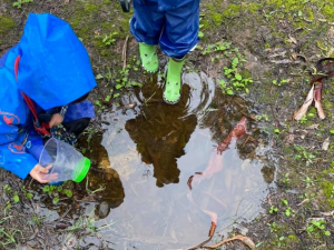 IMAGE: Kinder aged child exploring a puddle. HEADING: Rural groups awarded a record-breaking $2.3 million
