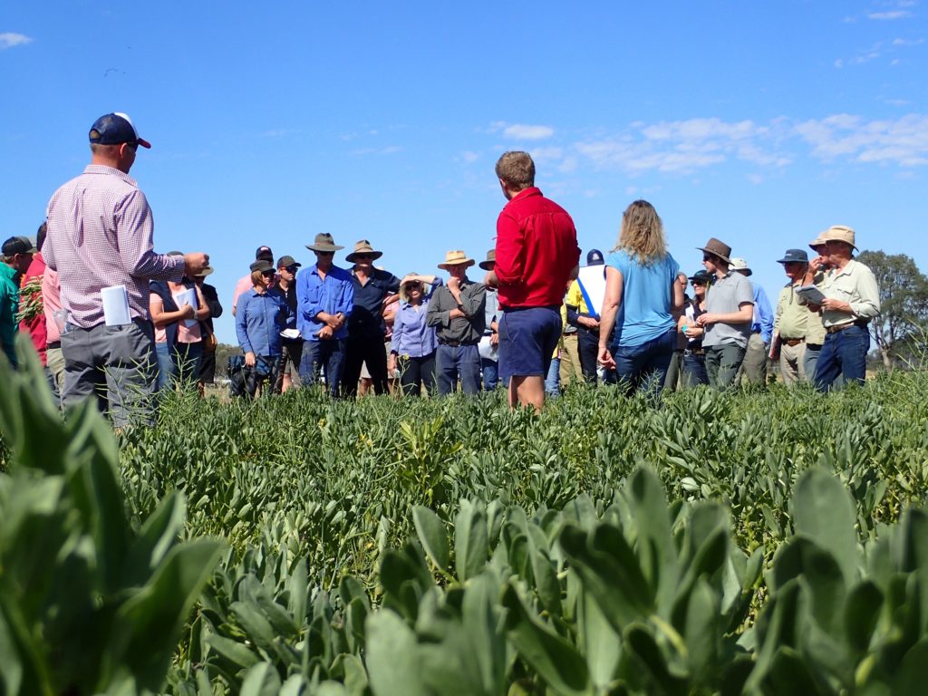 Gippsland Agricultural Group field day