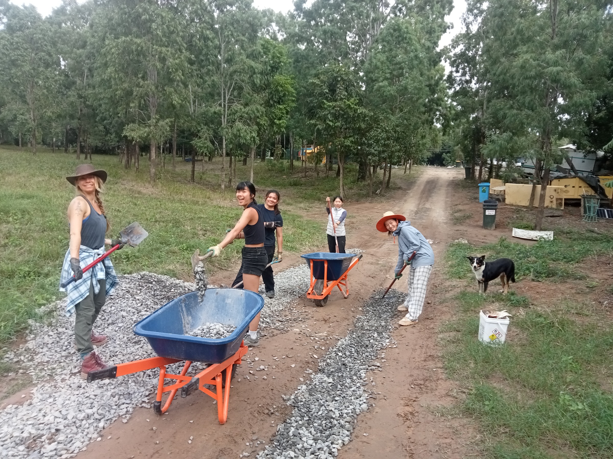 Group of people with shovels and wheelbarrows 