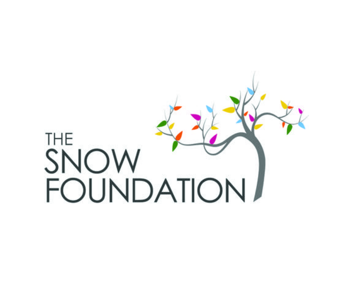 The Snow Foundation